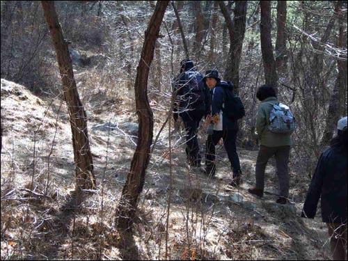 열심히 산을 오릅니다. 